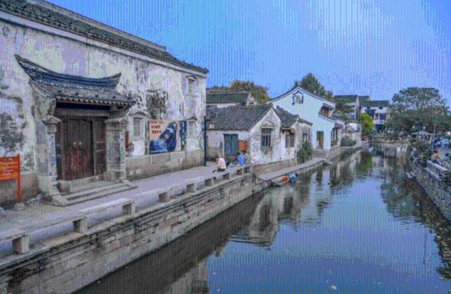 射击红色鸟